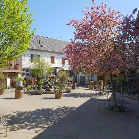Schoene Wohnung Kleiner Onkel Auf Idyllischem Reiterhof Nahe Burg Eltz Munstermaifeld Экстерьер фото