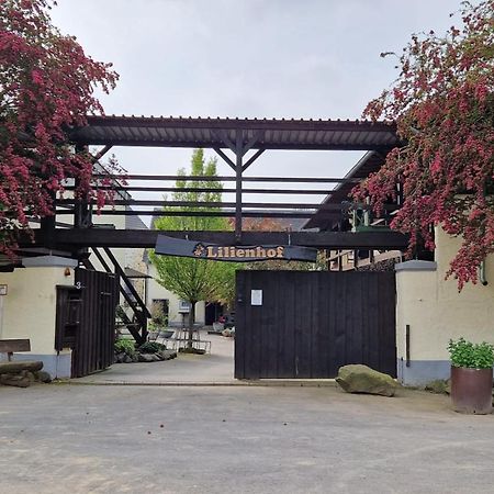 Schoene Wohnung Kleiner Onkel Auf Idyllischem Reiterhof Nahe Burg Eltz Munstermaifeld Экстерьер фото
